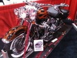 Mike Z's Harley Davidson